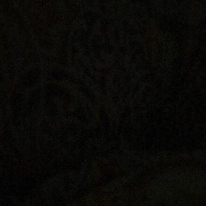 Meet your Posher, Katelynn